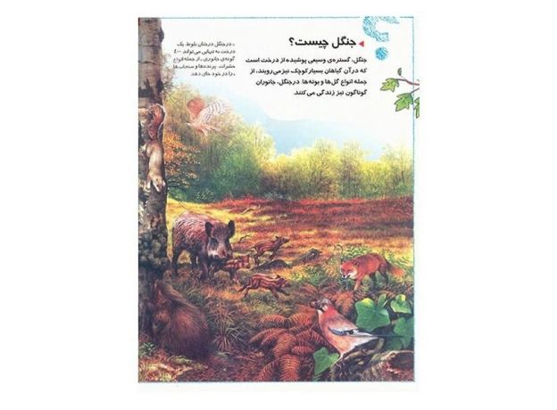 کتاب دایره المعارف چراهای شگفت انگیز (جلد3), image 2