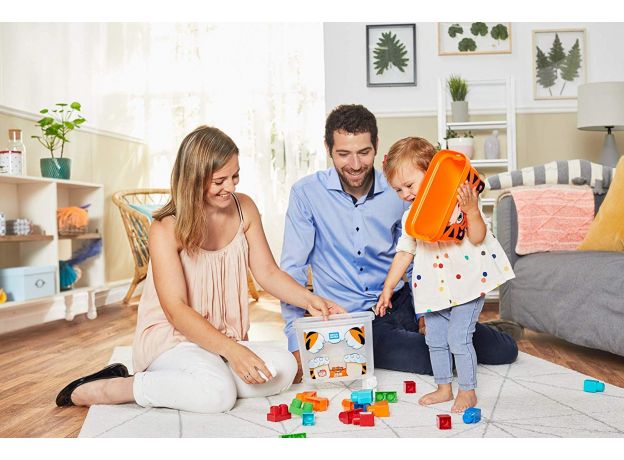 بلاک های ببری Fisher Price, image 4