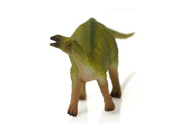 تنونتوسور یا دایناسور زردپی, image 2
