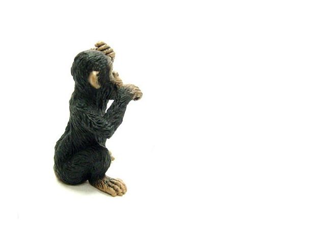 بچه شامپانزه - درحال فکر کردن, image 2