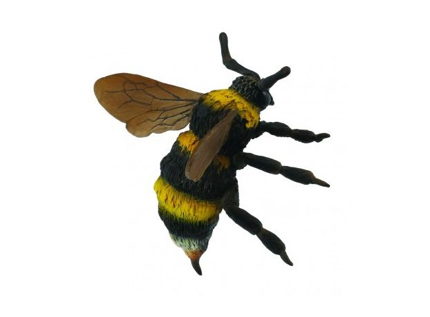 زنبور مخملی, image 2