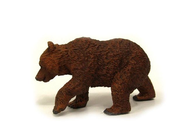 بچه خرس قهوه‌ای, image 2
