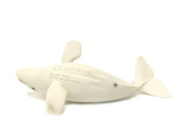 نهنگ سفید (بلوگا), image 4