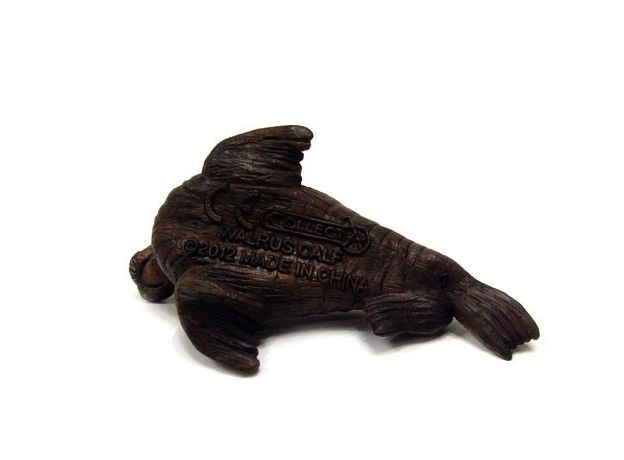 بچه گراز دریایی, image 4