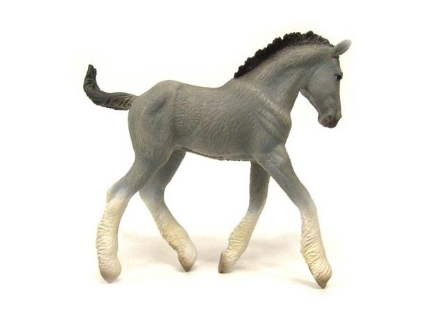 کره اسب شایر خاکستری, image 2