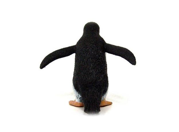 پنگوئن جنتو, image 4