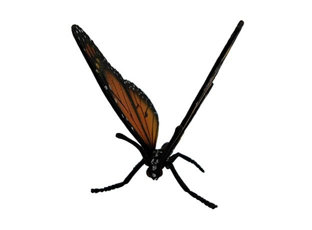 پروانه شهریار, image 2