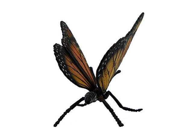 پروانه شهریار, image 3