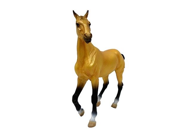 اسب ماده آخال‌تکه خاکستری زرد‌فام, image 2