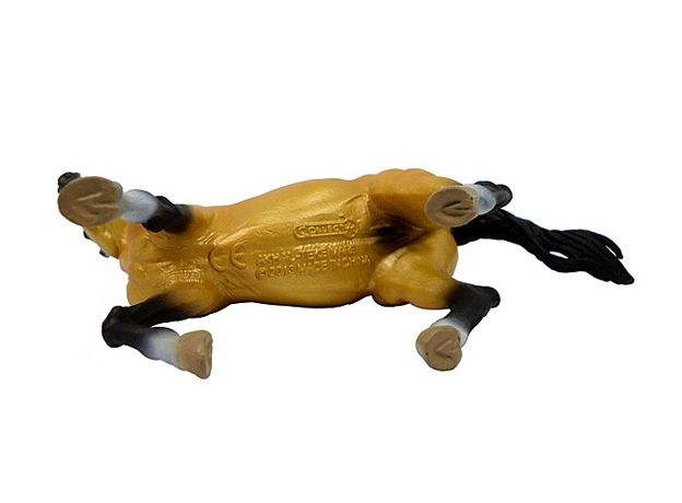 اسب ماده آخال‌تکه خاکستری زرد‌فام, image 4