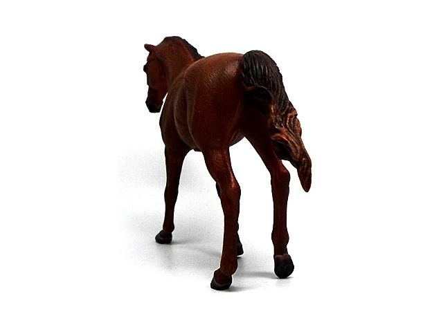 اسب ماده میسوری فوکس تروتر کُرَنگ, image 2