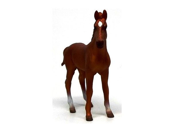 کره اسب تروبرد کُرَنگ - ایستاده, image 2