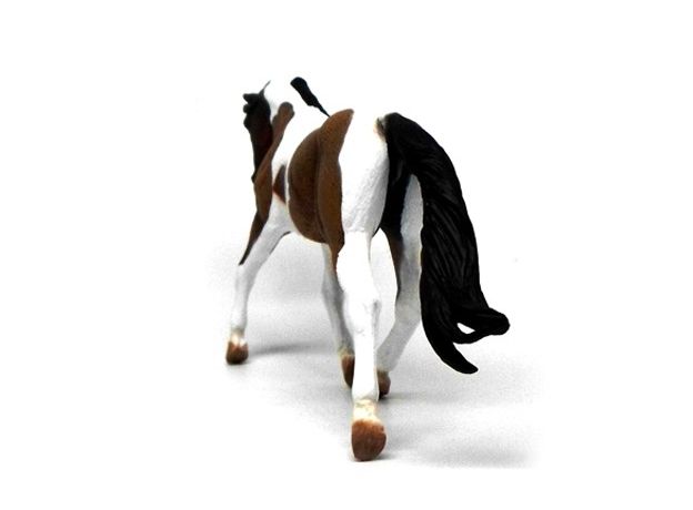 اسب ماده کَهَر خال‌دار, image 3