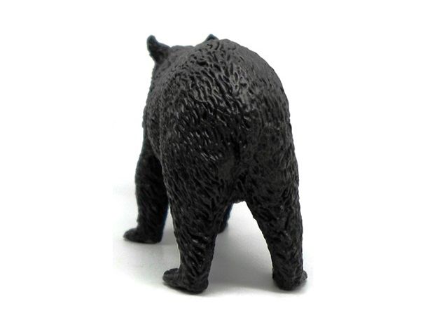 خرس سیاه آمریکایی, image 3