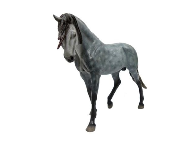 اسب نر اصیل اسپانیایی (اندلسی) خاکستری ابری تیره, image 2