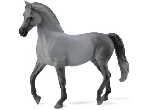 اسب ماده عربی خاکستری, image 