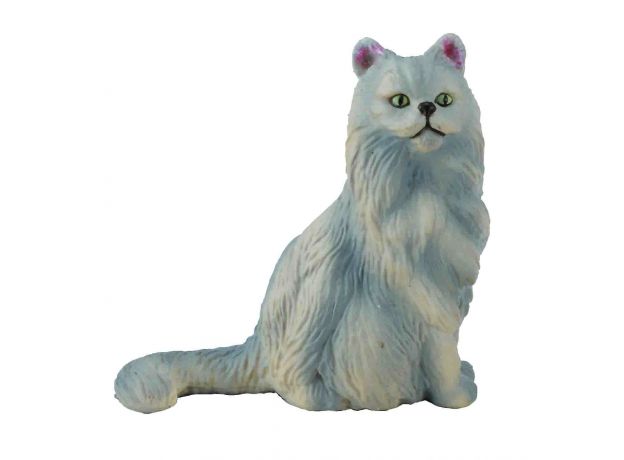 گربه ایرانی - نشسته, image 