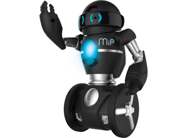 ربات سیاه MIP, image 