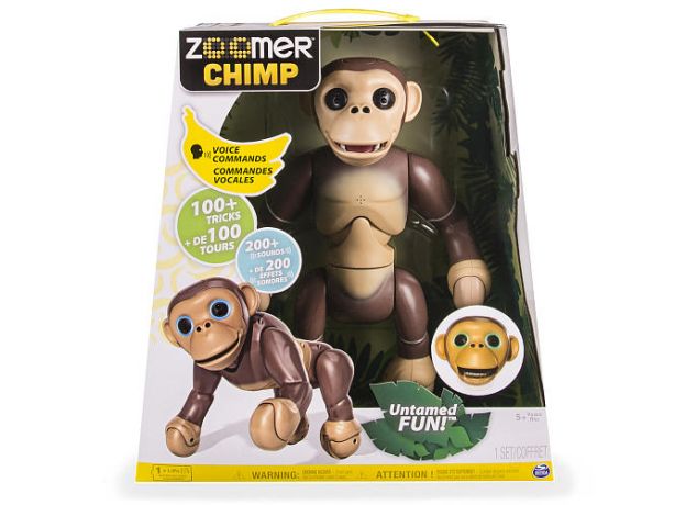 شامپانزه زومر, image 