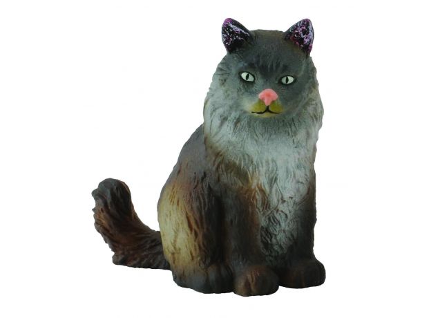 گربه جنگلی نروژی - نشسته, image 