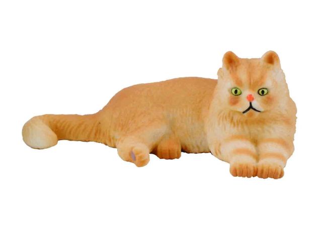 گربه ایرانی - دراز کشیده, image 