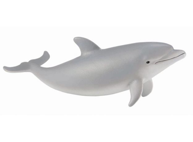 بچه دلفین پوزه بطری, image 
