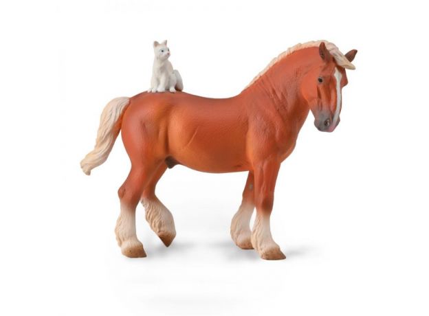 اسب درافت با گربه, image 