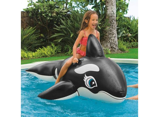 نهنگ مشکی بادی کودک اینتکس Intex, image 4