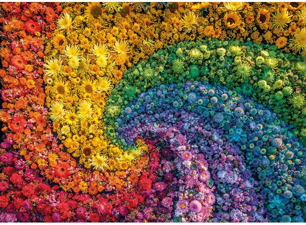 پازل 1000 تکه کلمنتونی مدل گل های رنگی, image 2